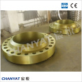 En/DIN Stainless Steel Threaded Flange (1.4845, X12CrNi2521)